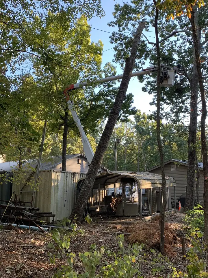 Arborist in a bucket truck removing hazard limbs above a building